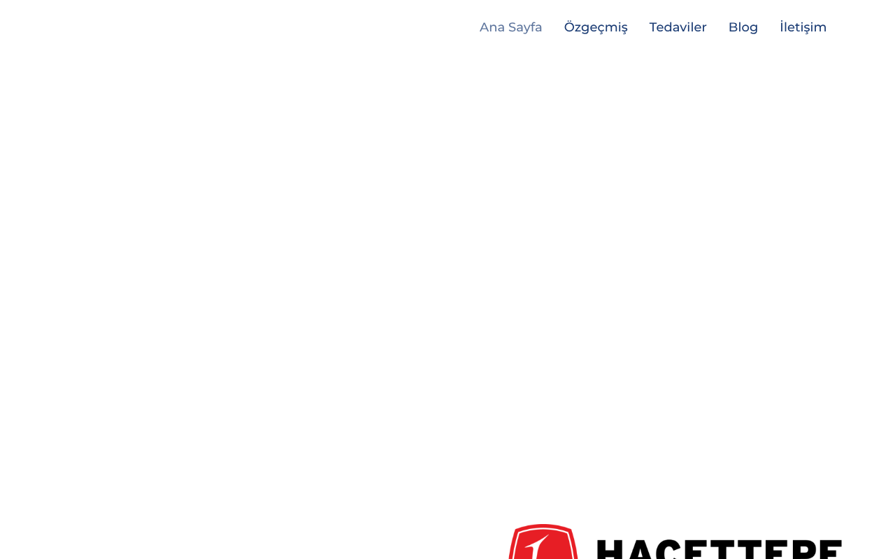 Web sitesi görüntüsü