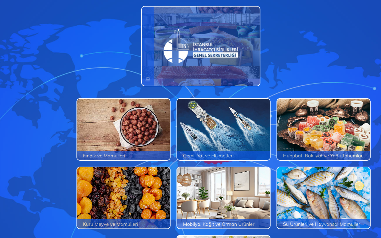 Web sitesi görüntüsü