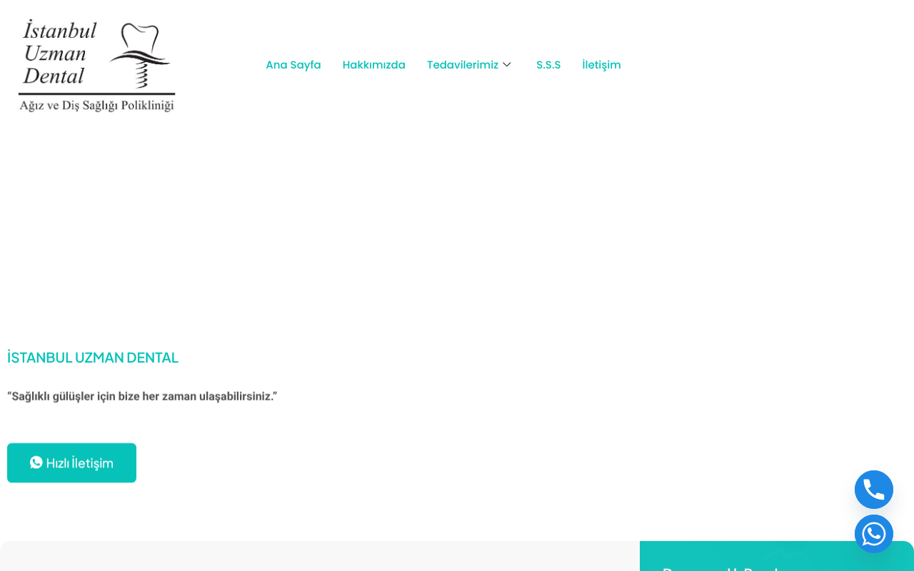 Web sitesi görüntüsü