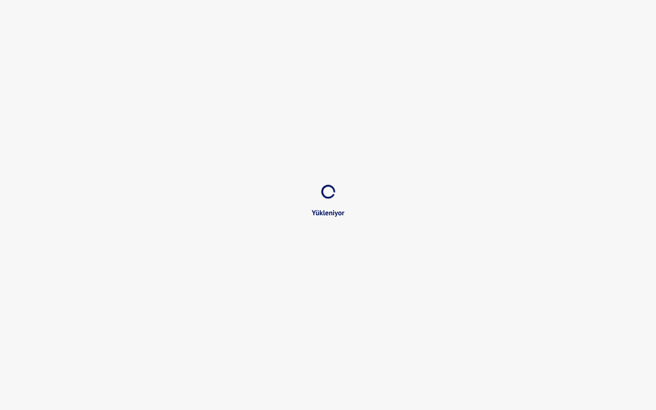 Web sitesi görüntüsü