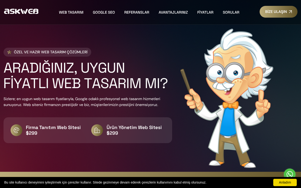Web Tasarımı screenshot