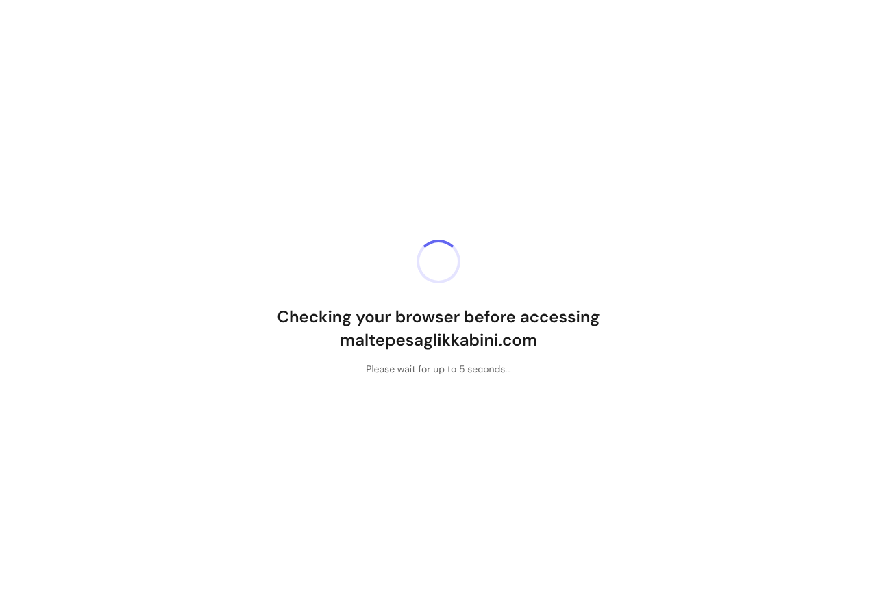 Web sitesi görüntüsü