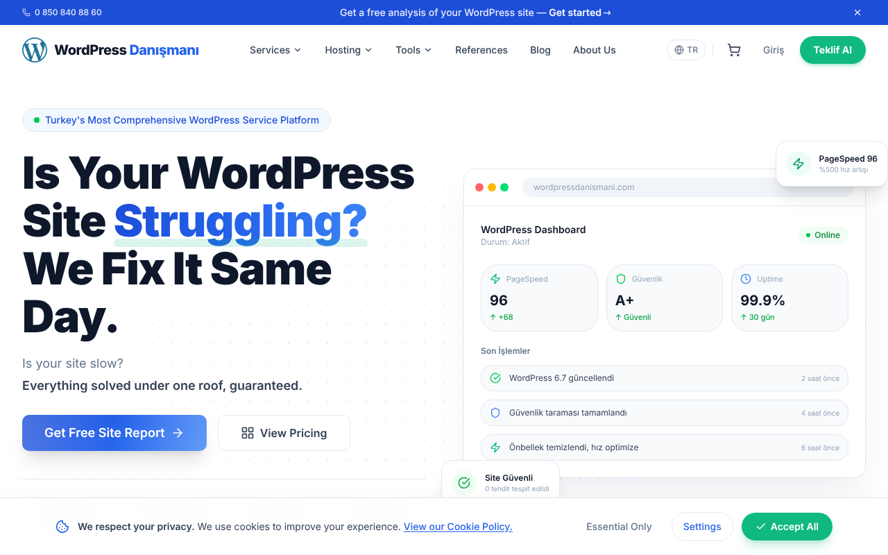 WordPress Danışmanı — Site Report