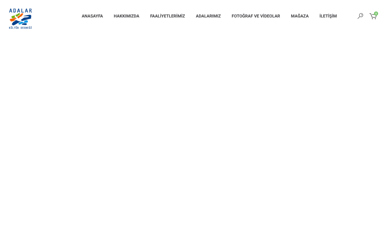 Web sitesi görüntüsü