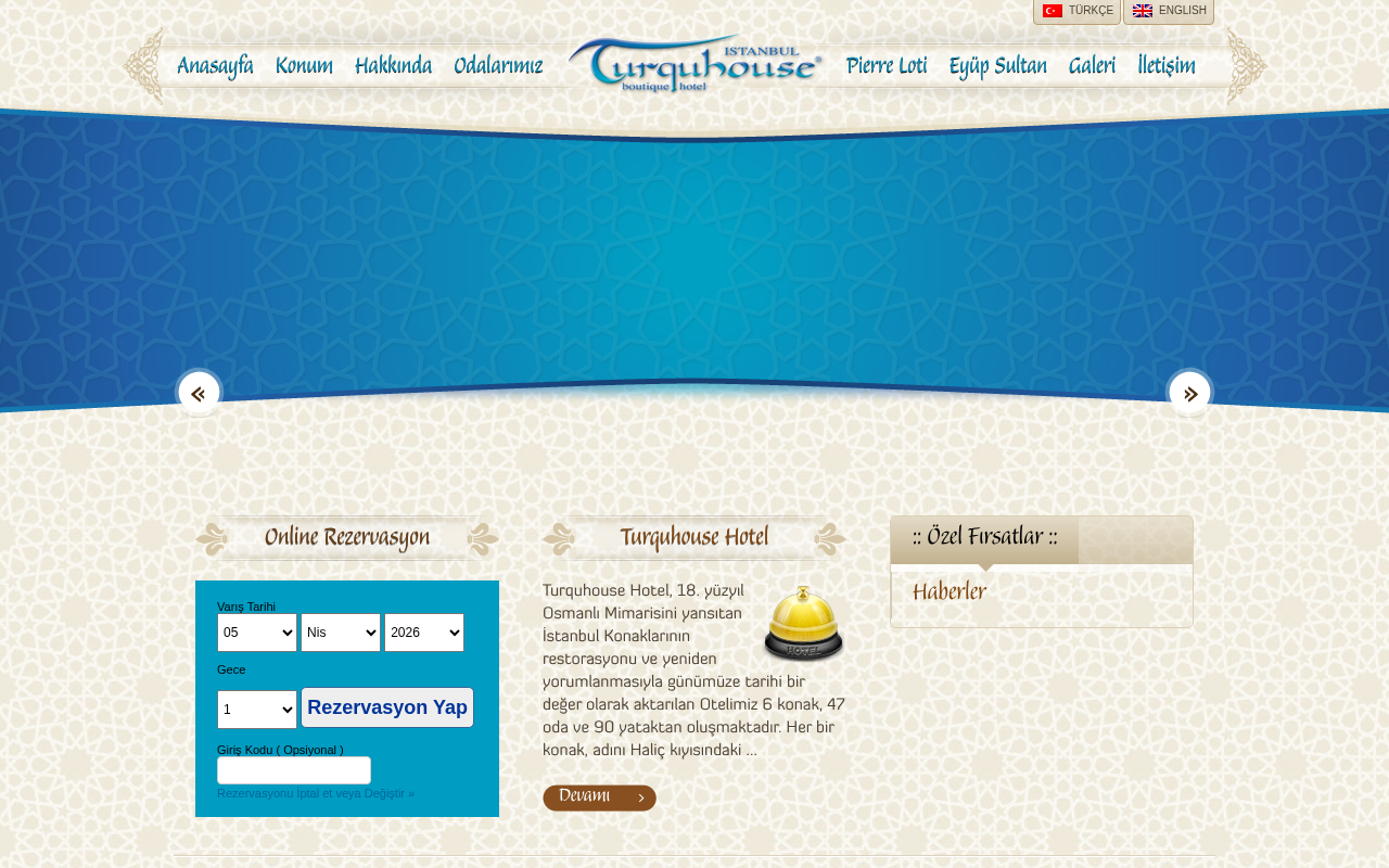 Web sitesi görüntüsü