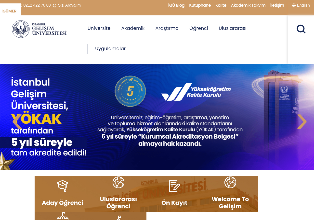 Web sitesi görüntüsü