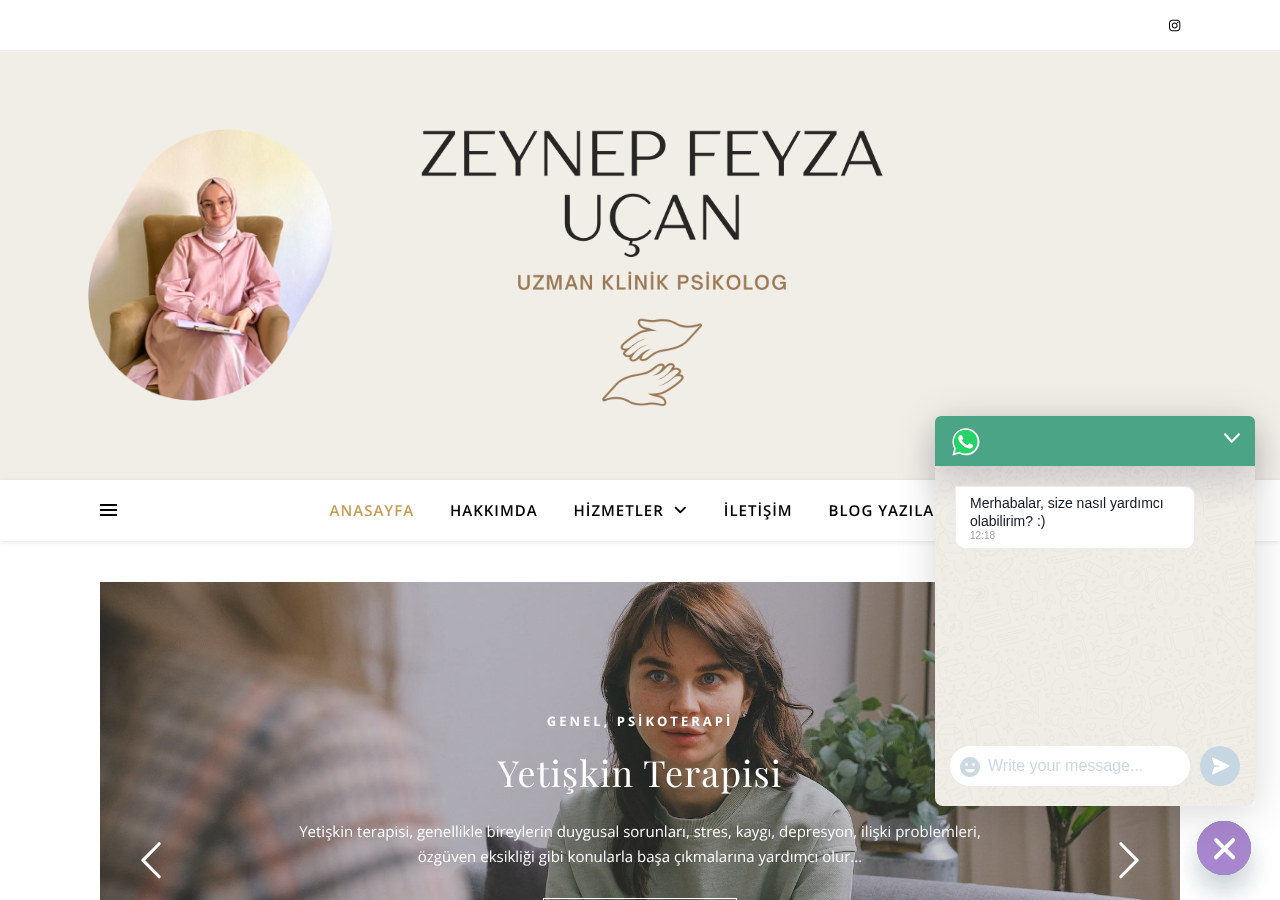 Web sitesi görüntüsü
