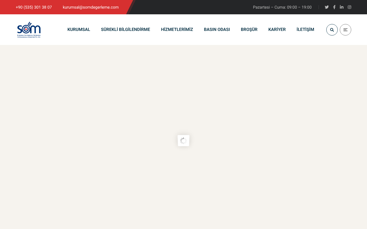 Web sitesi görüntüsü