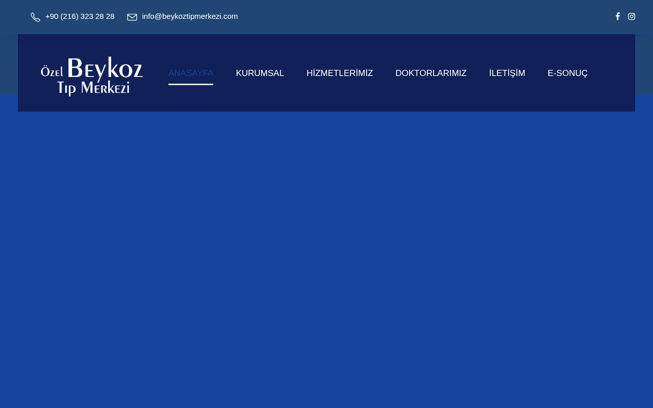 Web sitesi görüntüsü