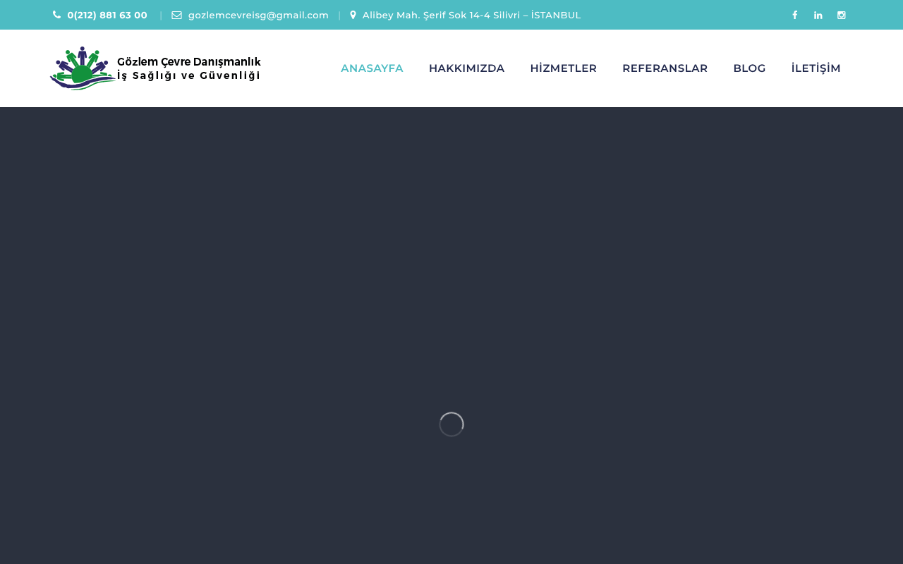 Web sitesi görüntüsü