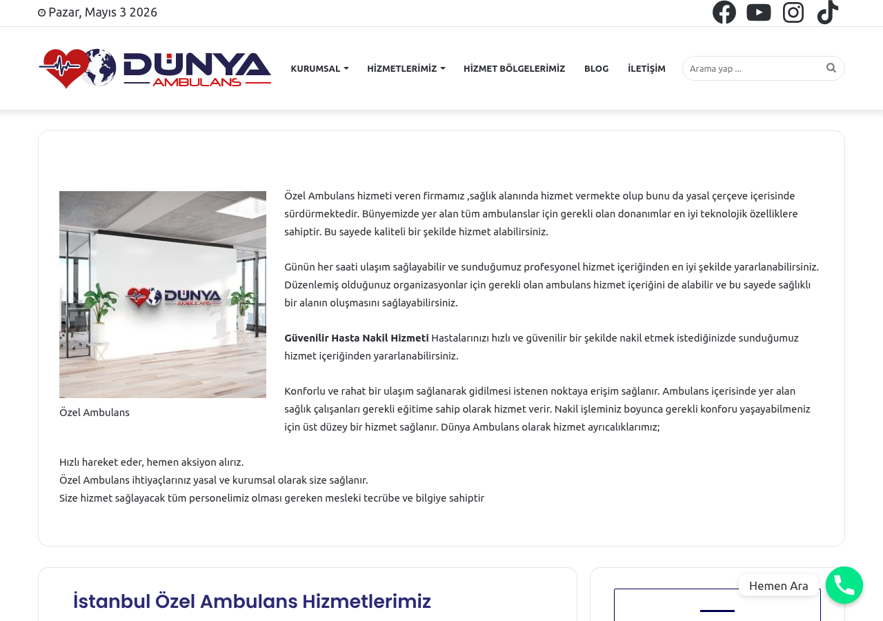 Web sitesi görüntüsü