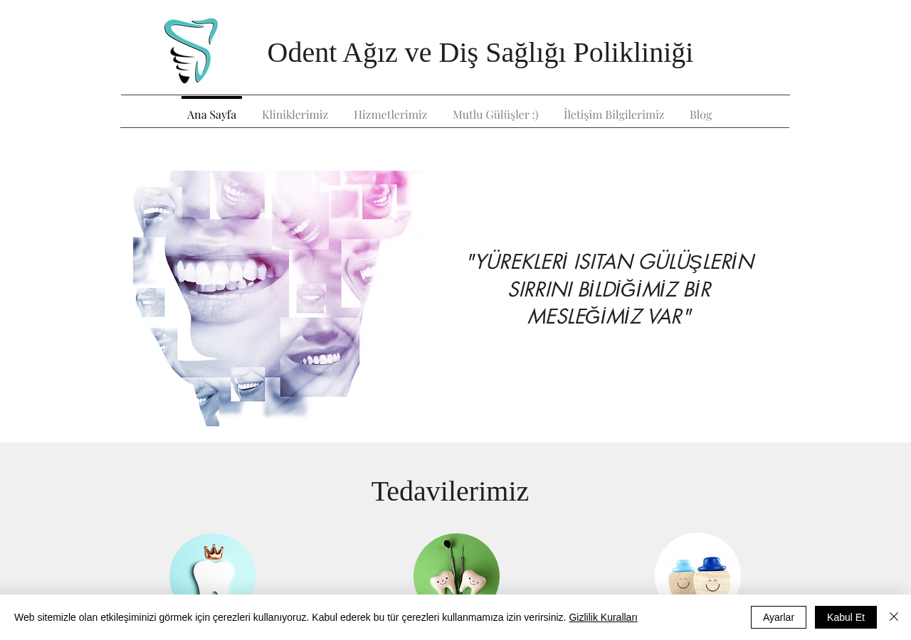 Web sitesi görüntüsü