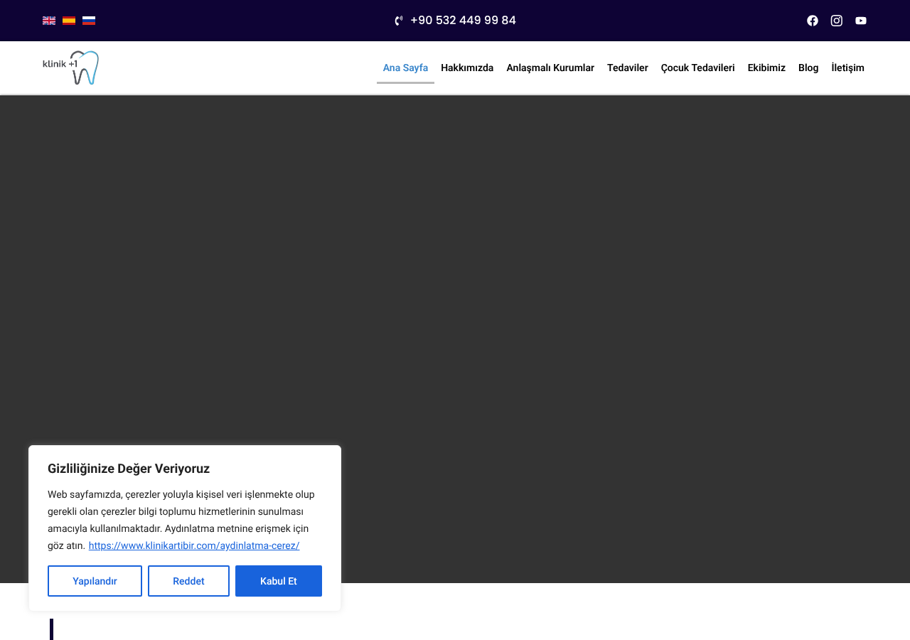 Web sitesi görüntüsü