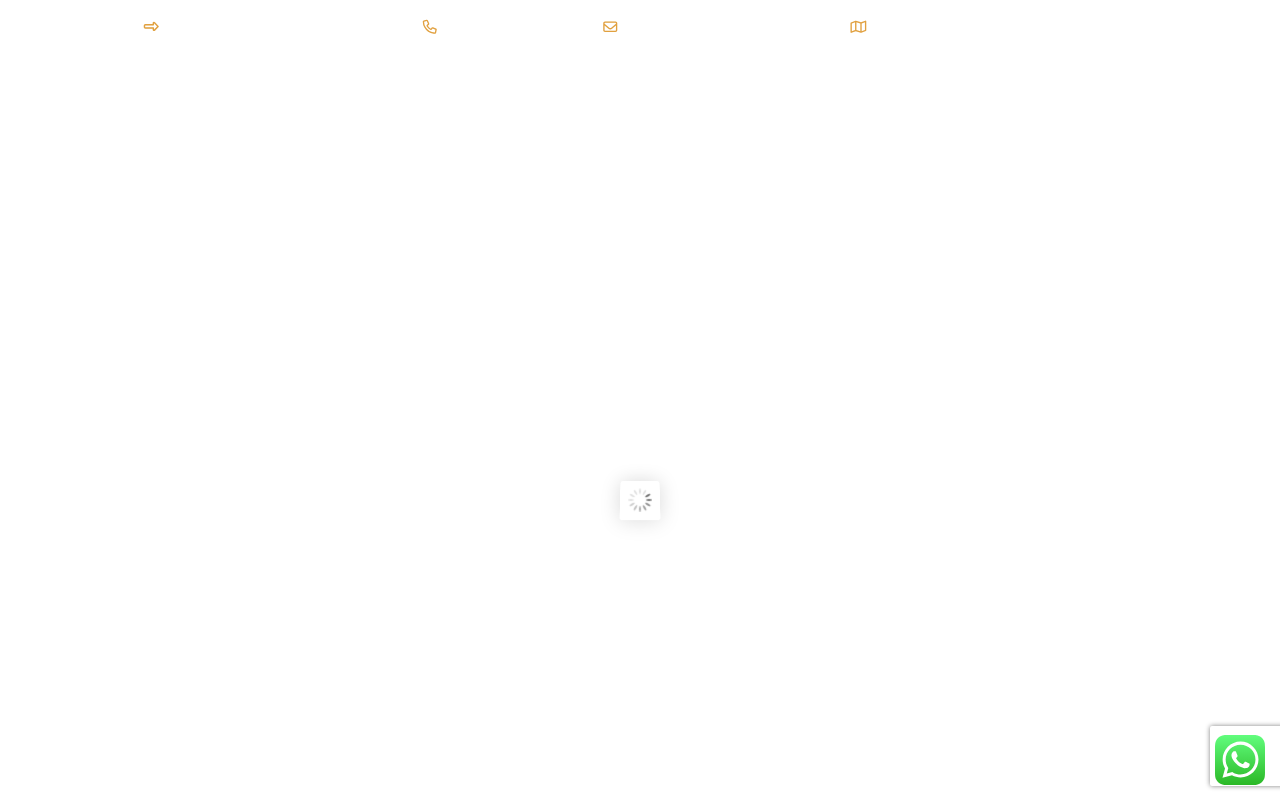 Web sitesi görüntüsü