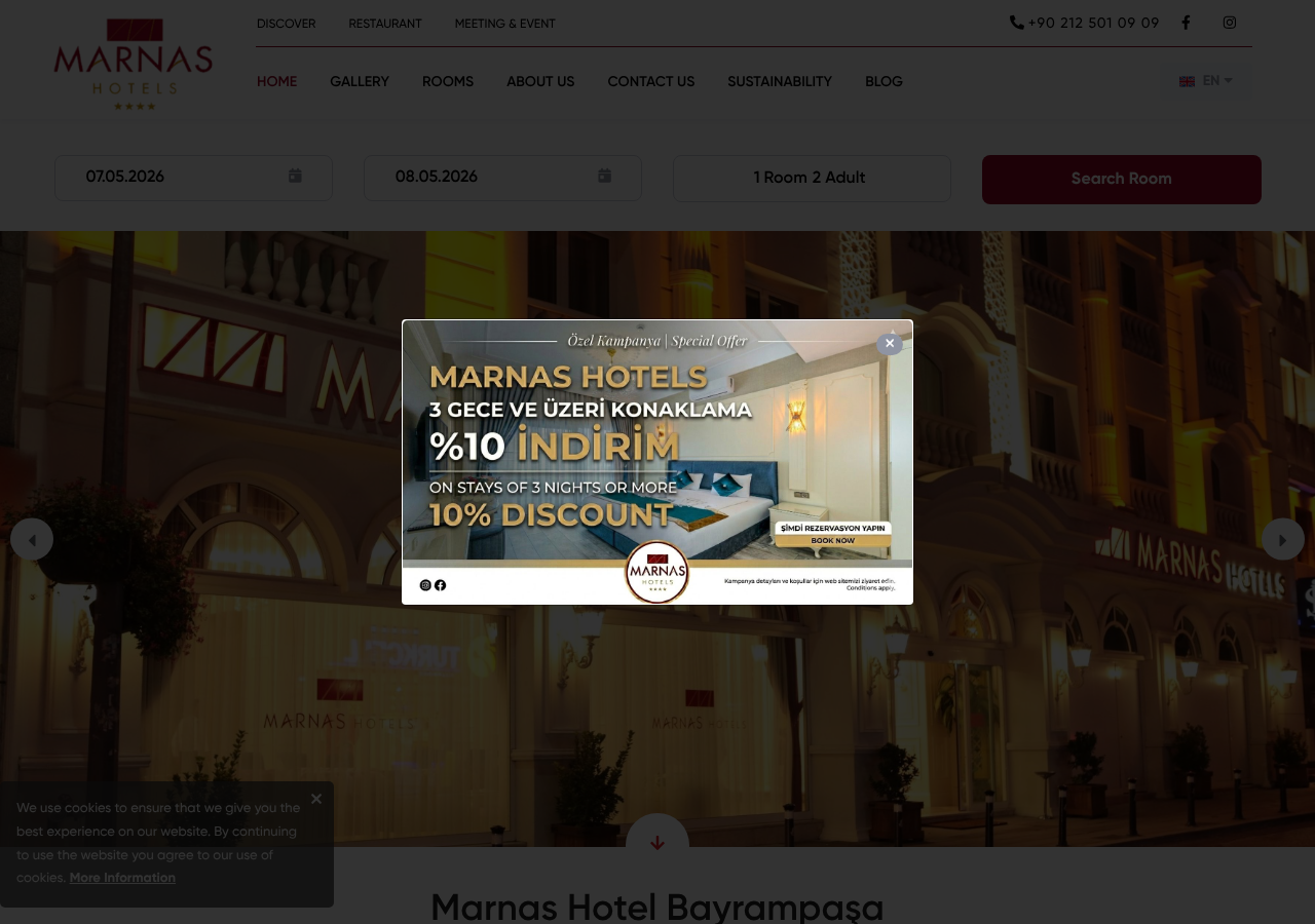 Web sitesi görüntüsü