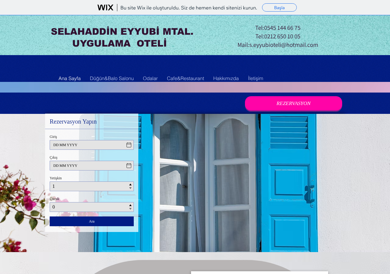 Web sitesi görüntüsü