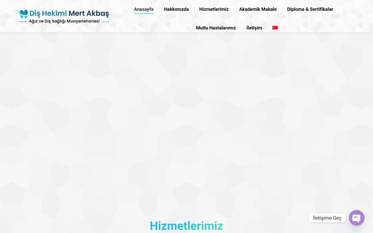 Web sitesi görüntüsü