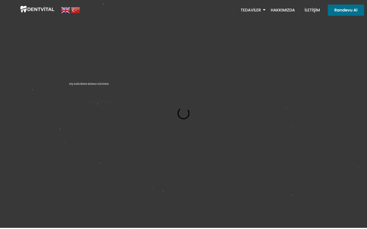 Web sitesi görüntüsü