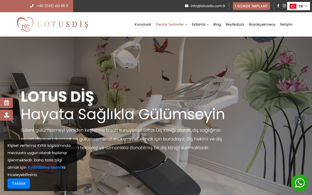 Web sitesi görüntüsü
