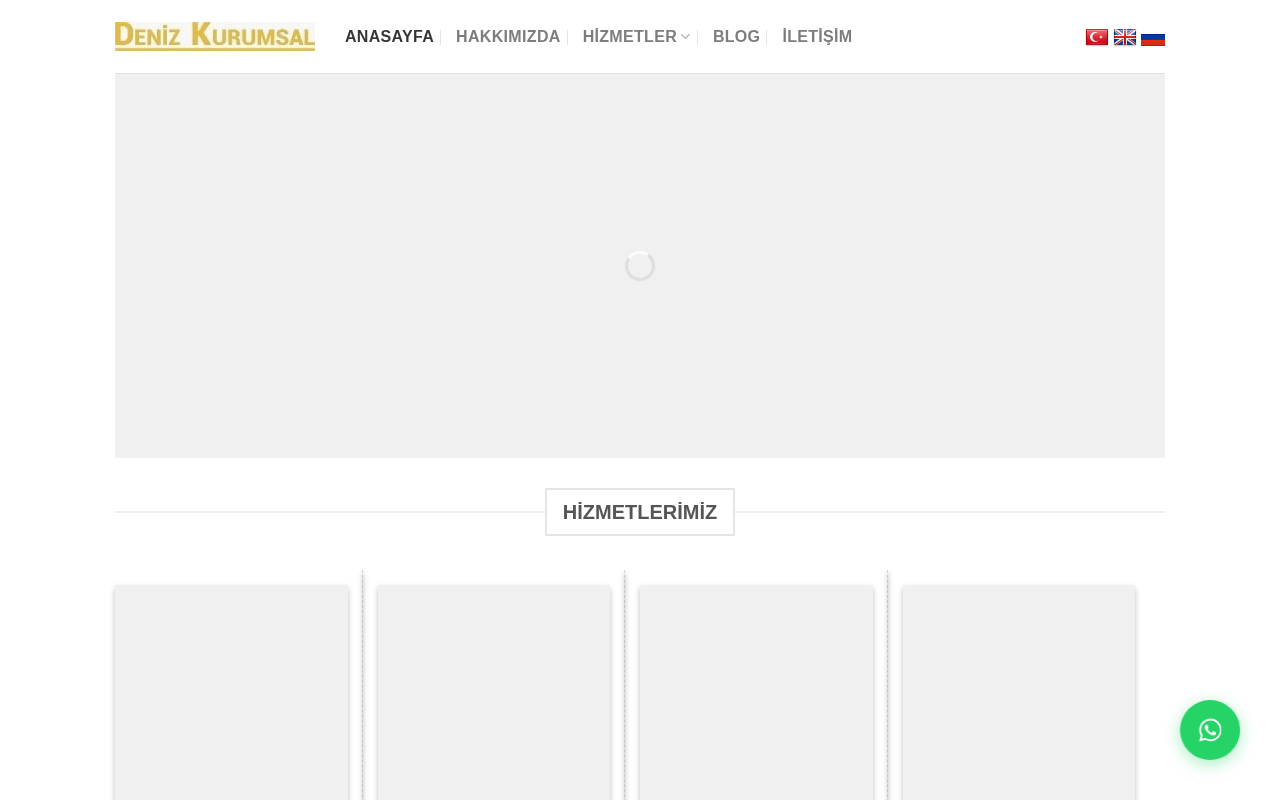 Web sitesi görüntüsü