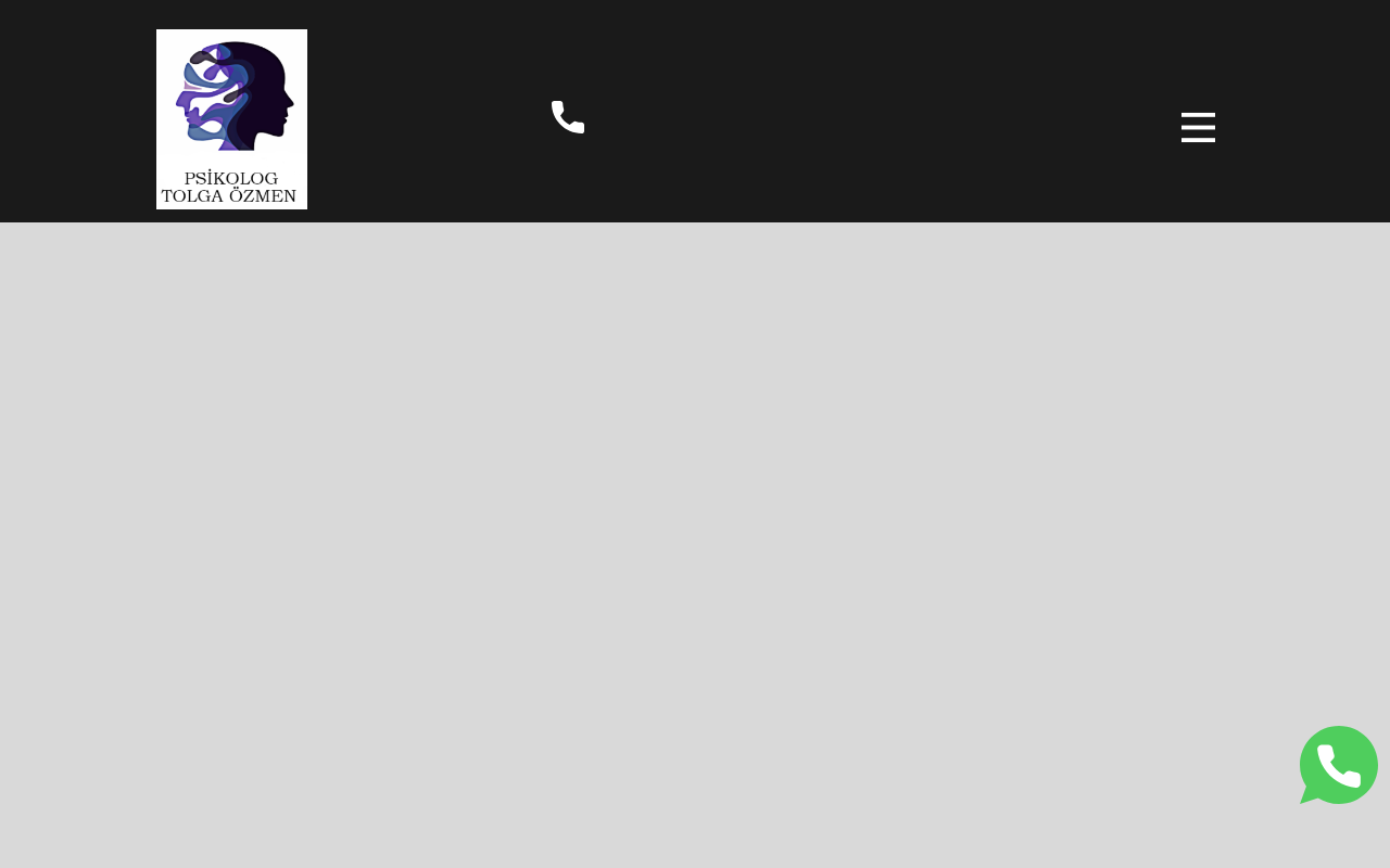 Web sitesi görüntüsü