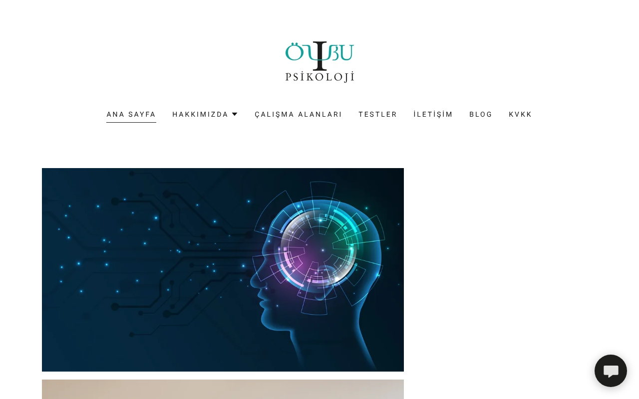 Web sitesi görüntüsü