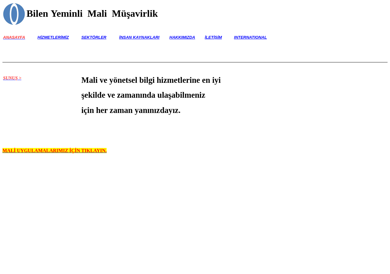 Web sitesi görüntüsü