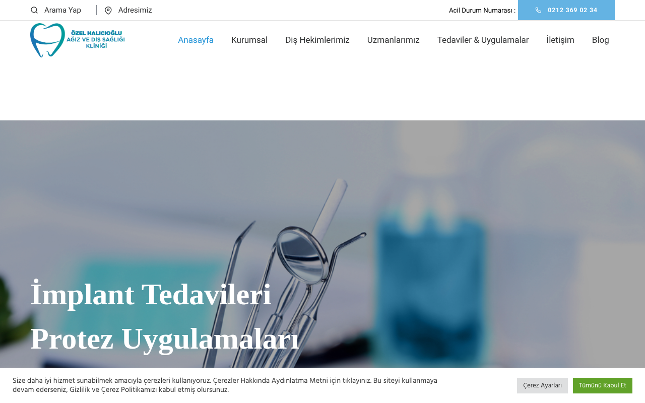 Web sitesi görüntüsü