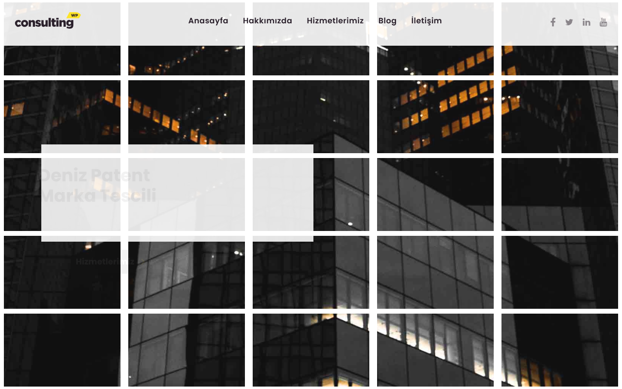 Marka Tescili screenshot