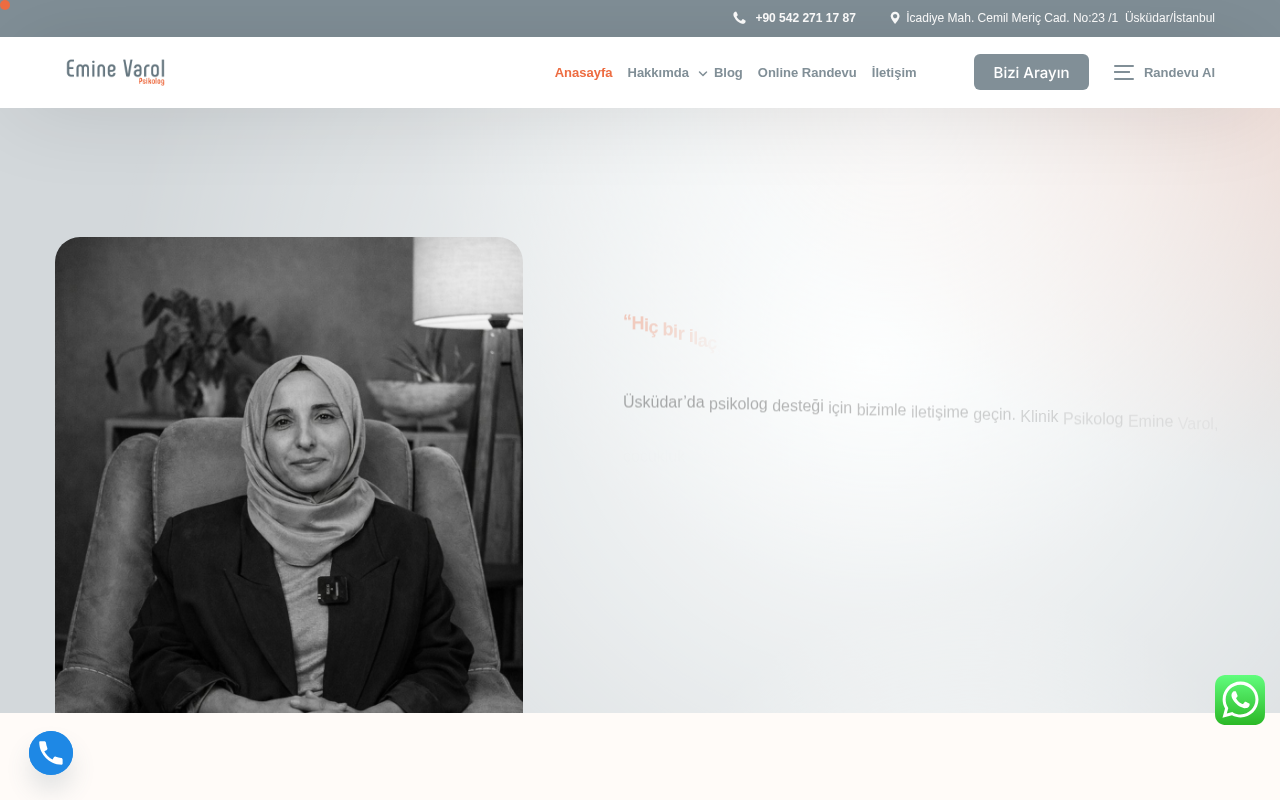 Web sitesi görüntüsü