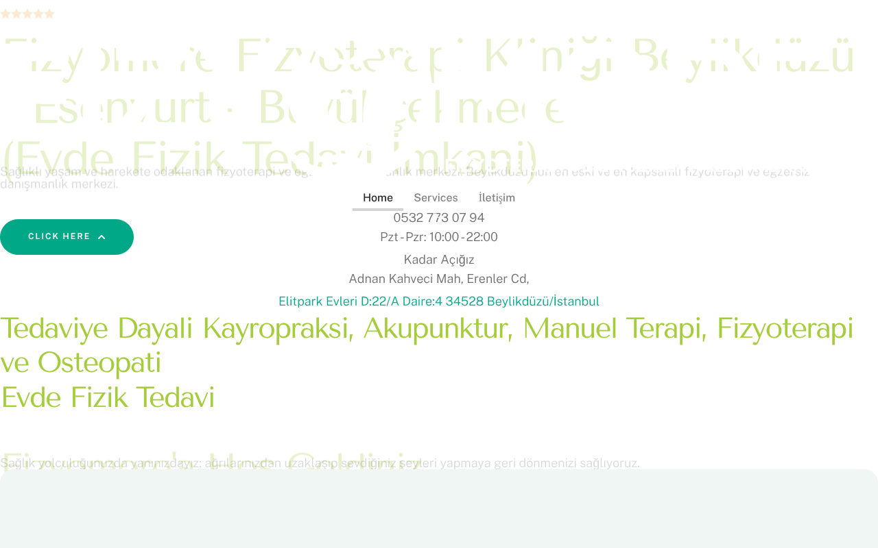 Web sitesi görüntüsü