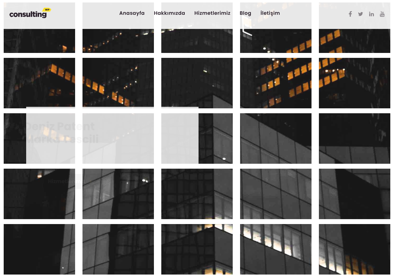 Marka Tescili screenshot