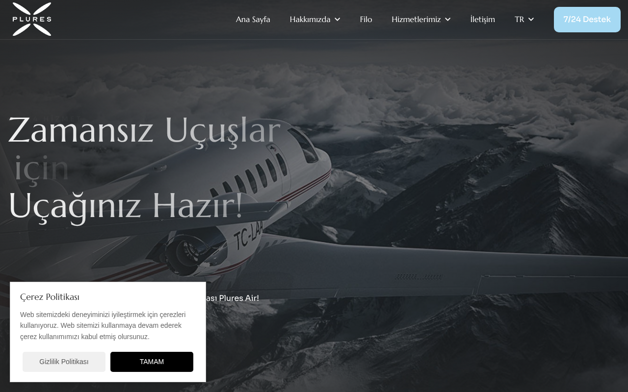 Web sitesi görüntüsü