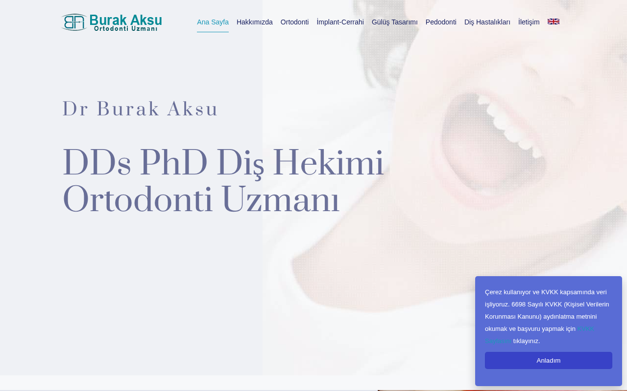 Web sitesi görüntüsü