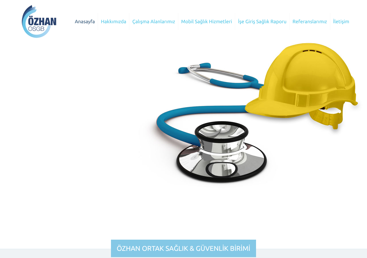 Web sitesi görüntüsü