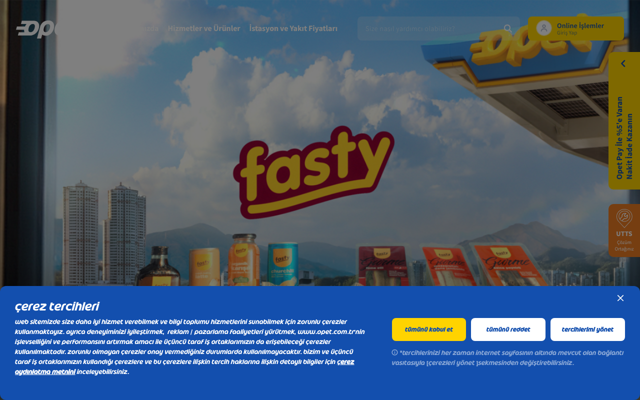 Web sitesi görüntüsü