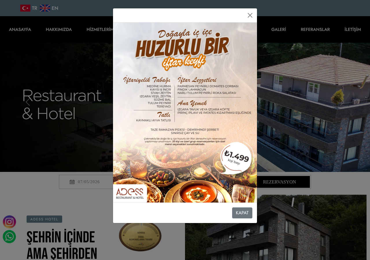 Web sitesi görüntüsü