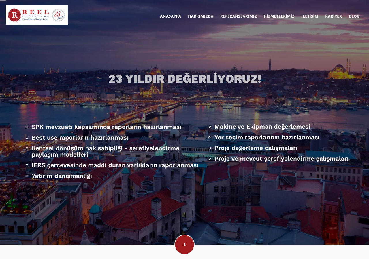 Web sitesi görüntüsü