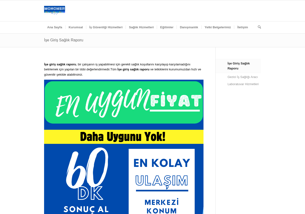Web sitesi görüntüsü