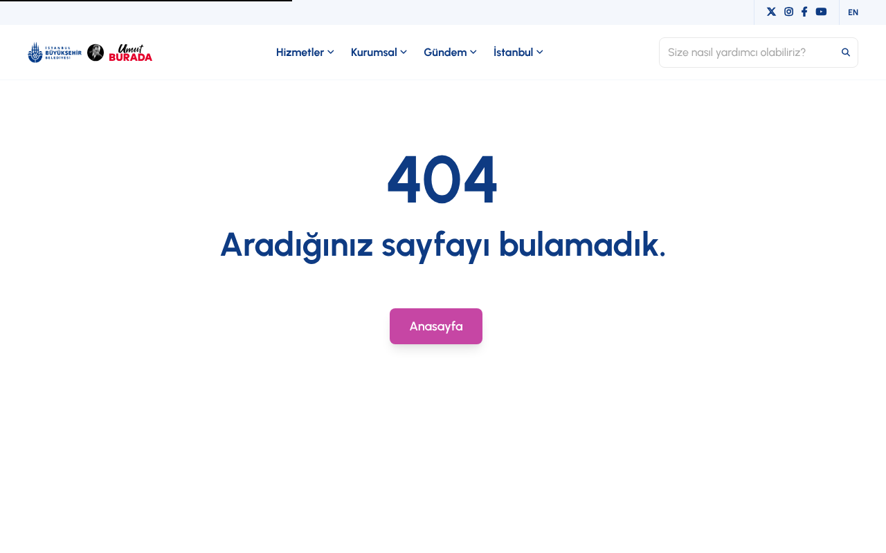 Web sitesi görüntüsü