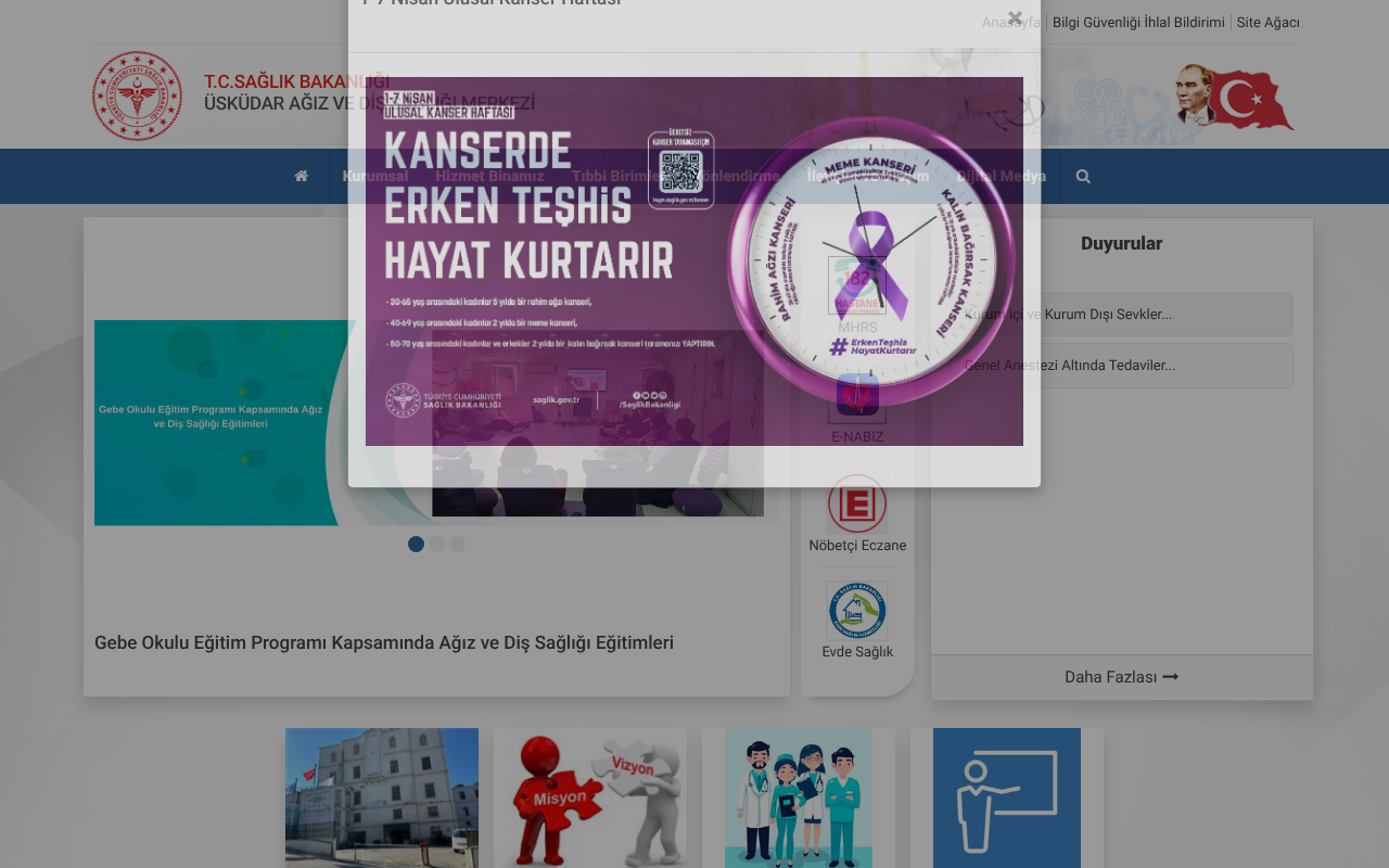 Web sitesi görüntüsü