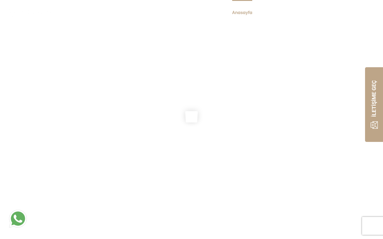 Web sitesi görüntüsü