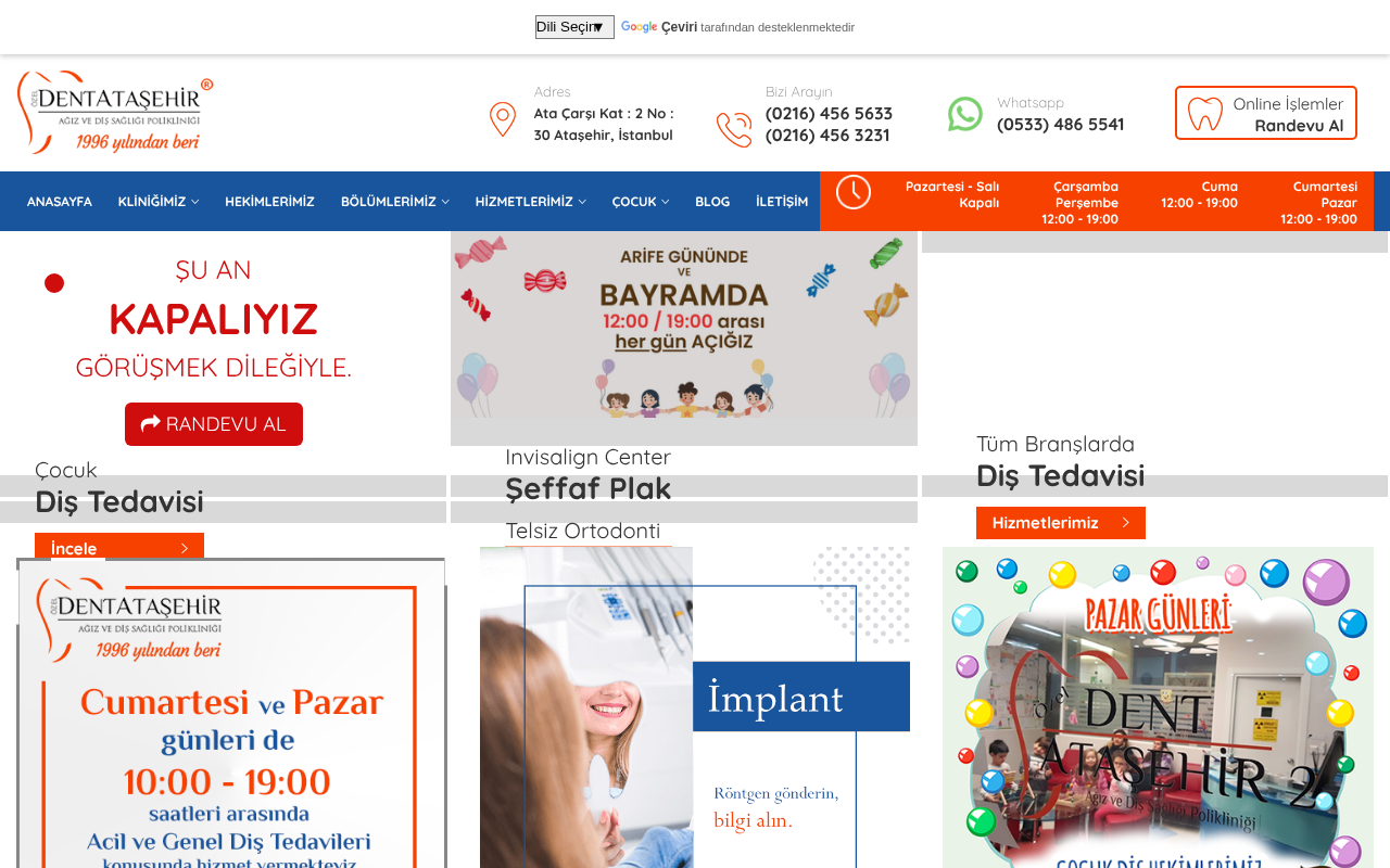 Web sitesi görüntüsü