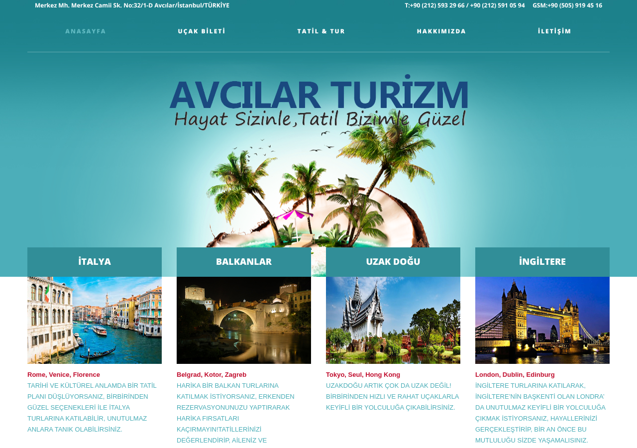 Web sitesi görüntüsü