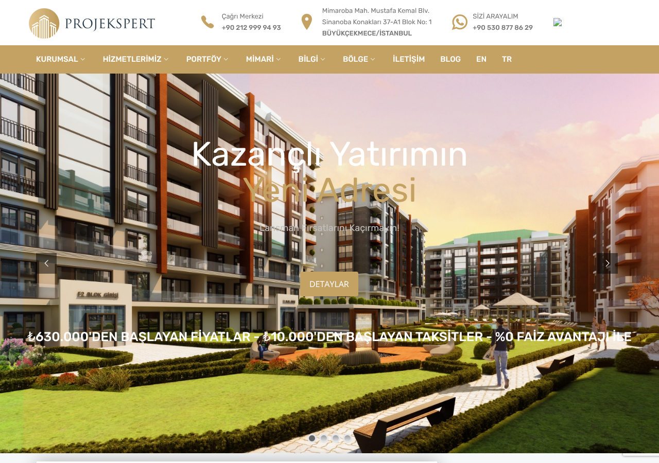 Web sitesi görüntüsü