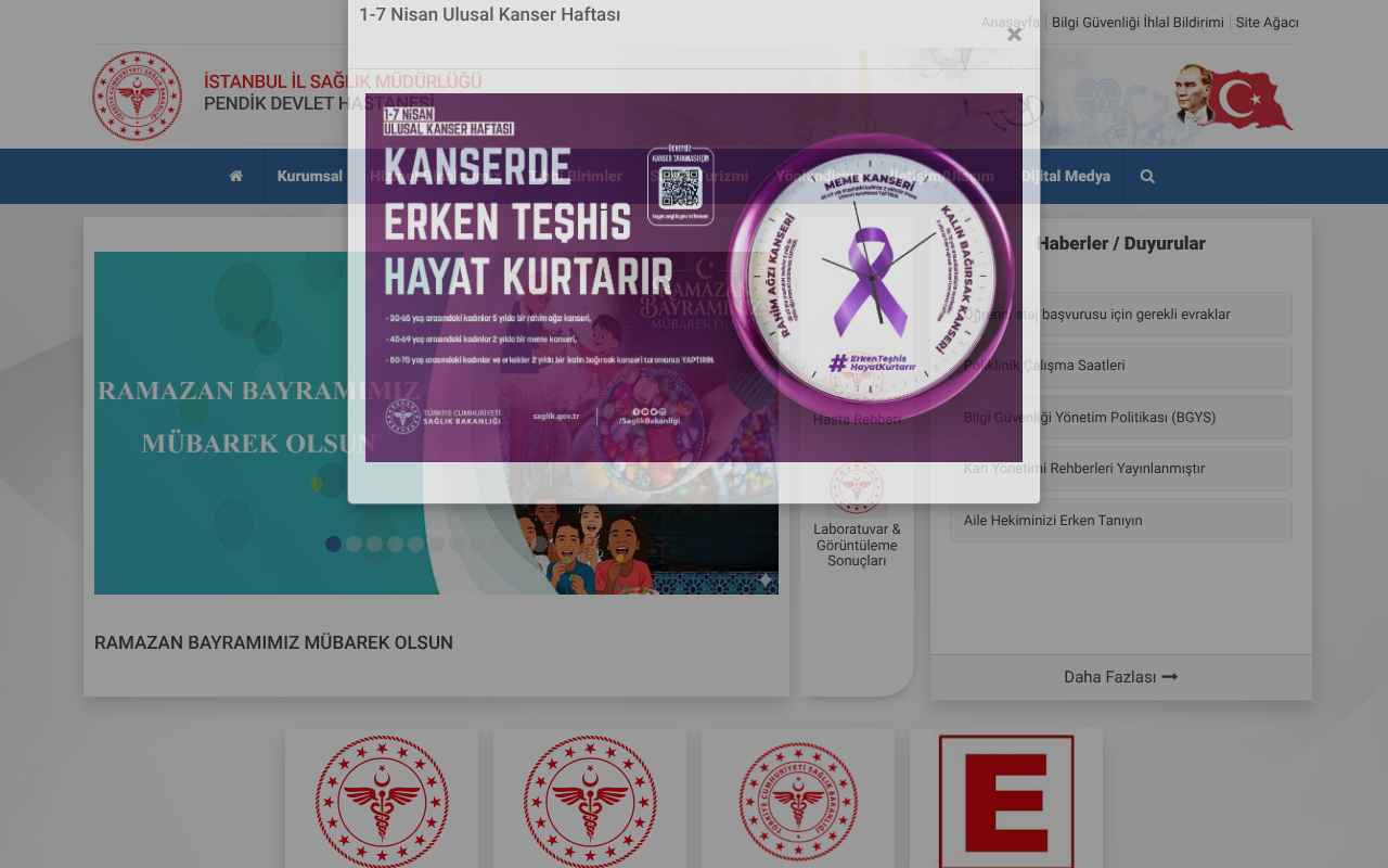 Web sitesi görüntüsü