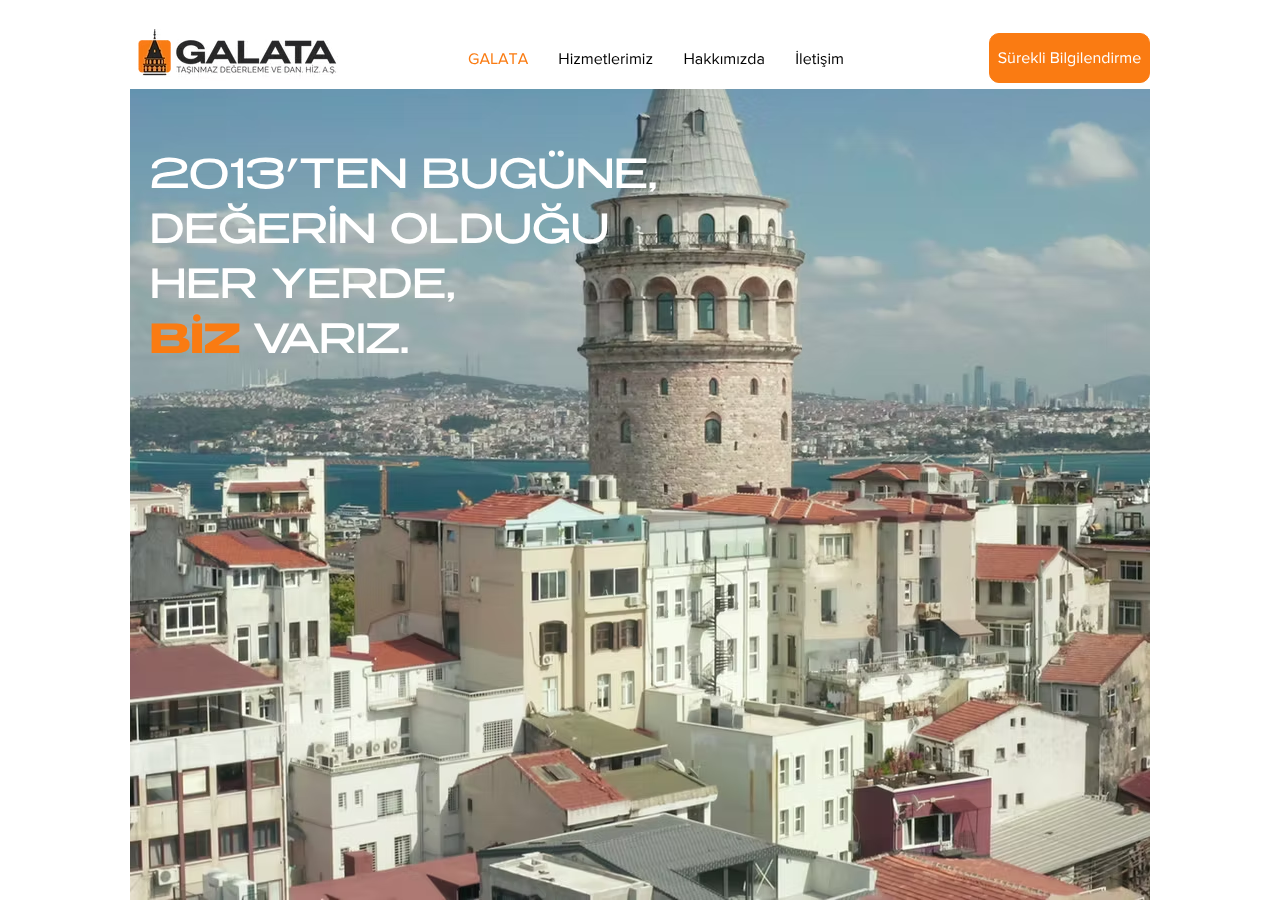 Web sitesi görüntüsü