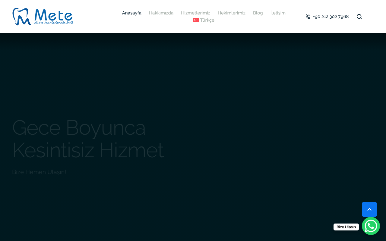 Web sitesi görüntüsü