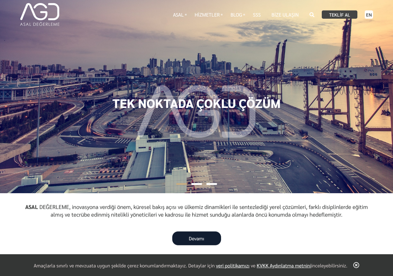 Web sitesi görüntüsü